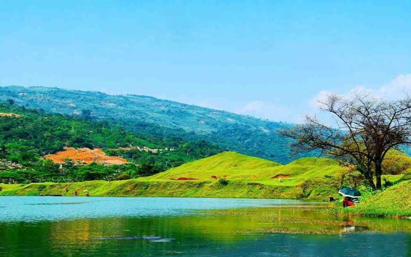 Niladri Farms